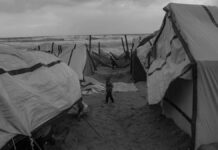 Bebé de 27 días muere por frío en medio de crisis humanitaria en Gaza