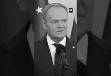 Polonia: anexionar Groenlandia sería el fin del mundo