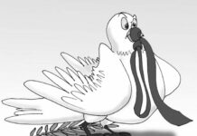 El Consejo de Seguridad de la ONU a sus 80 años