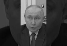 Putin comenta la situación de Groenlandia