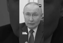 Putin: Dinamarca trata como colonia a Groenlandia