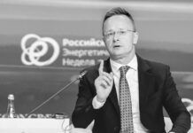 «Empezaron a interferir en nuestras elecciones»: Hungría responde al ataque del canciller ucraniano contra Orbán