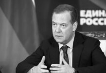 Medvédev calificó la intervención de Zelenski en el Foro Económico Mundial como una «bofetada» a la Unión Europea