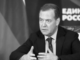 Medvédev calificó la intervención de Zelenski en el Foro Económico Mundial como una «bofetada» a la Unión Europea