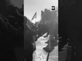 Minneapolis: Manifestantes bloquean calles en rechazo a ICE