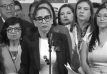 Luisa González: Persecución política busca encubrir nexos de Noboa con narcotráfico en Ecuador