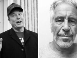 «¿Hay algún buen momento?»: Musk figura en los nuevos archivos de Epstein