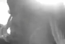 De los yanquis no nos sorprende nada