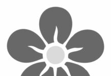 Partido Nuevo Peru rechaza intento de EEUU de intimidar a Cuba