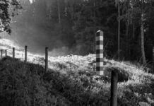 Rusia va a militarizar la frontera con Finlandia