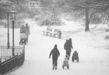 La temperatura media mundial ha caído drásticamente en enero