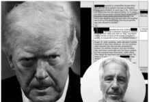 Las monstruosas élites de la lista Epstein y de tantas otras.