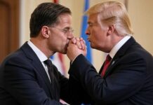 Rutte es un mamporrero de Trump y la OTAN defiende los intereses de los EEUU.