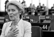 El nuevo departamento de espionaje de la Unión Europea no entusiasma