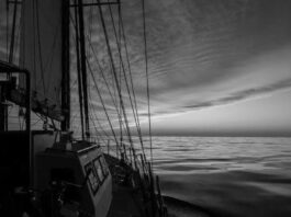 Expedición de circunnavegación ruso-brasileña en apoyo a los BRICS se acerca a su finalización