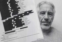 «Es mucho más grande»: Entrevistado de Tucker Carlson sobre archivos de Epstein