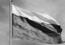 En Rusia se crea el Comité Nacional para la Cooperación Empresarial en BRICS por iniciativa del presidente Putin