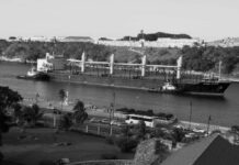 Orden ejecutiva de Trump limita facultad soberana de las naciones