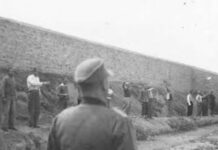 Grecia. Confirman veracidad de las fotografías de la ejecución de 200 comunistas por los nazis