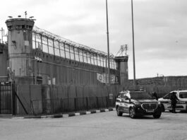 Palestina: prisioneros en cárcel israelí enfrentan condiciones inhumanas