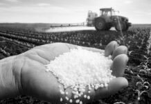 Una gran fábrica de fertilizantes de la UE ha dejado de aceptar pedidos debido a los precios del gas