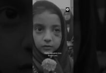 Niña relata la muerte de su hermano tras bombardeo escolar