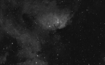 Roscosmos muestra ‘flores’ espaciales la víspera del Día Internacional de la Mujer