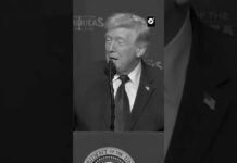 Trump: No aprenderé su maldito idioma