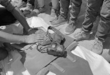 Asciende a 261 la cifra de periodistas asesinados por Israel en Gaza