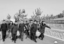 RPDC. Esfuerzos por la repoblación forestal