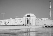 La seguridad de la central nuclear de Bushehr en Irán suscita serias preocupaciones, según el director general del OIEA