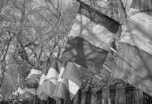 Protestas en Rumanía contra despidos que afectarán a 1.500 empleados en Oltenia