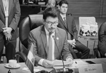 Bolivia expone ejes de acción en foro Celac-África