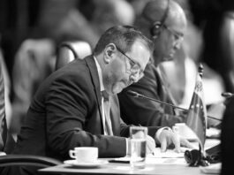 Venezuela ratifica compromiso con la Diplomacia Bolivariana de Paz en el Foro CELAC-África