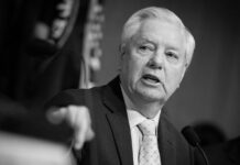 «Ganado desechable»: Fuerte dardo a Lindsey Graham por sus comentarios sobre tropas de EE.UU.