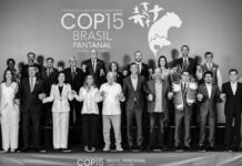 Lula destaca avances ambientales y critica al Consejo de Seguridad