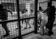 Albanese: Israel institucionaliza la tortura como parte del genocidio en Palestina