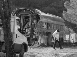 El ferrocarril. Un pastel millonario para la oligarquía