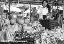 La Economía nicaragüense tuvo el mayor crecimiento en Centroamérica en 2025