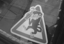 🙈 Un agente del Servicio Secreto de EE. UU. se disparó accidentalmente a sí mismo en el aeropuerto