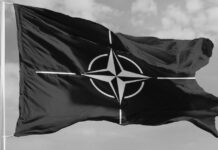 «Decepcionante»: EE.UU. lanza nuevo dardo a este país de la OTAN