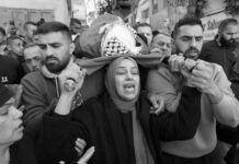 Palestina: 50 años de resistencia y amor a la tierra