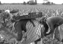 Racismo e islamofobia desde la perspectiva de género