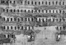 El capitalismo nos arrastra al abismo