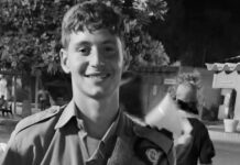 Las ratas se matan entre ellas