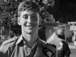 Las ratas se matan entre ellas