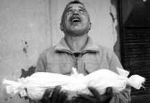 «El verdadero exterminio de una generación que aún no había comenzado la vida»