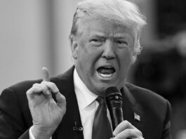 Fue Trump y no Irán quien solicitó un alto el fuego