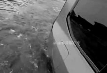 China ‘se lanza a la piscina’ con un nuevo todoterreno anfibio