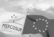 Países de Mercosur sin acuerdo para cuotas de exportación a la UE